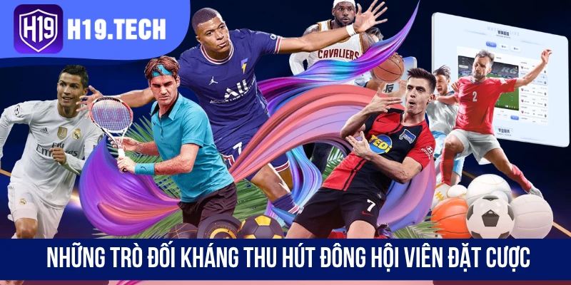 Những trò đối kháng thu hút đông hội viên đặt cược