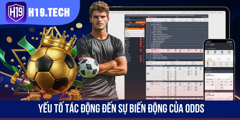 Yếu tố tác động đến sự biến động của odds